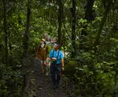 Discover Costa Rica