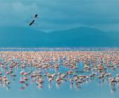 Safari Add-on Tour after Rongai Route