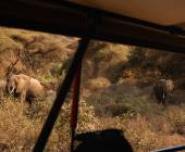Safari Add-on Tour after Rongai Route