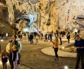 Best of the Garden Route – Premium Adventure