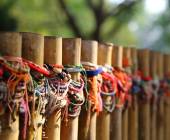 Vietnam & Cambodia Highlights