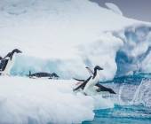 Antarctic Express: Crossing the Circle