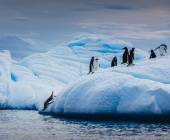 Antarctic Express: Fly the Drake