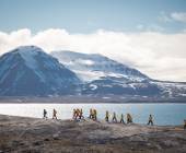 Spitsbergen Circumnavigation: A Rite of Passage