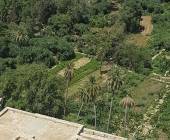 Saudi Arabia Explorer