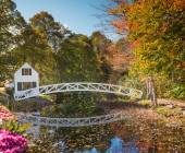 Cycling Maine’s Coast & National Park