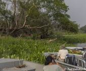 Pantanal – Land of the Jaguar