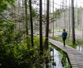 Walking Canada’s Sunshine Coast