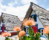 Walking the Island of Madeira