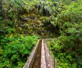 Walking the Island of Madeira