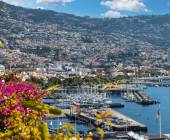 Walking the Island of Madeira