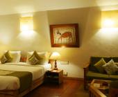 India’s North & South – Premium Adventure