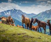Kyrgyzstan Walking Explorer