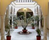 India’s North & South – Premium Adventure