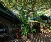 Southern Africa Safari: Kruger & Coast