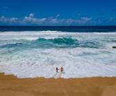 Southern Africa Safari: Kruger & Coast