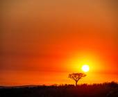 Southern Africa Safari: Kruger & Coast