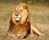 Southern Africa Safari: Kruger & Coast