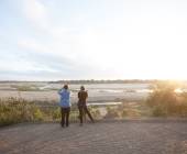 Southern Africa Safari: Kruger & Coast