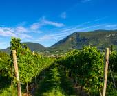 Cycling Lake Garda by e-bike