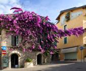 Cycling Lake Garda by e-bike