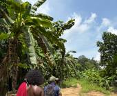 Sri Lanka: Wonders & Wildlife – Premium Adventure