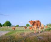 Cycle the Coastal Portuguese Camino