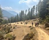 Festivals of Bhutan – Paro