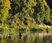 Cycle Northern France: Brittany to Normandy