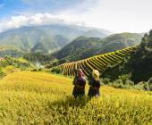 Hidden Vietnam: Sapa & Beyond