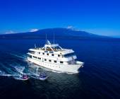 Galapagos Escape – Solaris (Itinerary C)