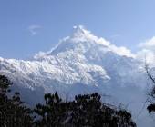 Annapurna to Chitwan: Walks & Wildlife