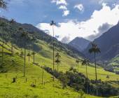 Colombia: Culture, Coffee & Caribbean