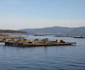 Portuguese Camino Highlights Walk