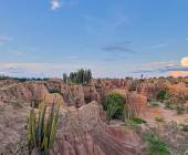 Colombia: Culture, Coffee & Caribbean