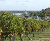 Cycle the Loire Valley