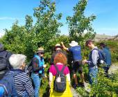 Best of Norway, Sweden & Finland