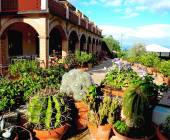 Tuscany Walks & Chianti Wines