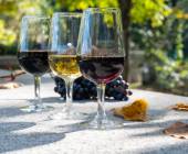 Tour the Treasures of Portugal