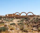 Jordan: Culture & Nature In Depth