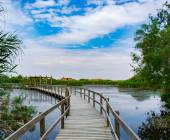 Jordan: Culture & Nature In Depth