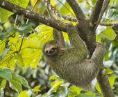 Discover Costa Rica – Coastal Edition