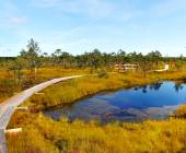 Walks of the Baltics and Finland