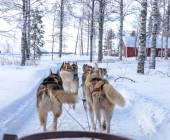 Finland Family Winter Adventure