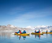 South Greenland Adventure: The Majestic Alpine Arctic
