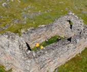 South Greenland Adventure: The Majestic Alpine Arctic