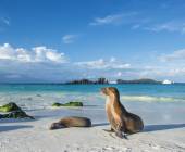 Island Hopping in the Galapagos
