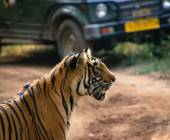 Colours of Rajasthan