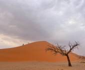 Botswana & Namibia: Delta & Dunes