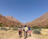 Botswana & Namibia: Delta & Dunes